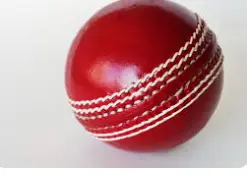 Cricket Ball red